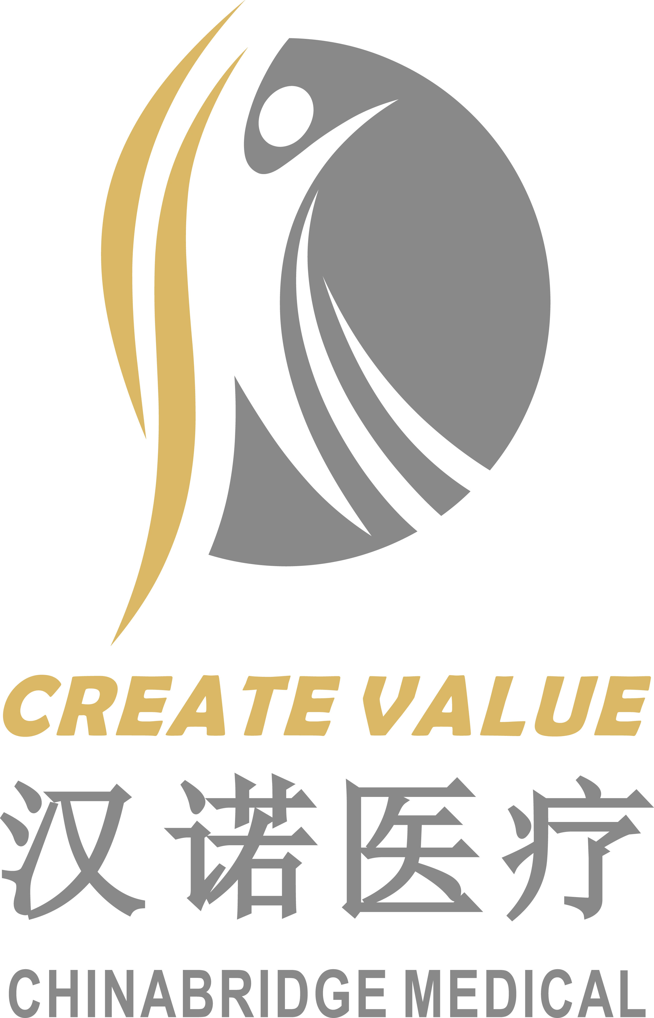 汉诺医疗